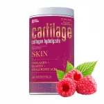 Toidulisand NOBLE PHARMA CARTILAGE SKIN 400g elastiini, kollageeni ja h&uuml;aluroonhappega
