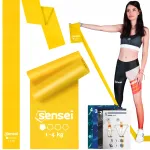 Kummist vastupanuriba treeninguks, rehabilitatsiooniks ja joogaks, 2 m, 1&ndash;4 kg