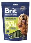 Koerte maiused BRIT PREMIUM DATED M, 180 g