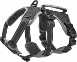 Koera rakmed Belpro, suurus S, mustad, peegeldustega