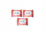 Niiske Dada Garnet WC-paber 3x60 tk