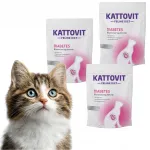Kuiv toit kassidele KATTOVIT Feline Diet Diabetes, 3 x 1,25 kg