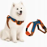 Koera valjad, helkuriga, tugevad, suurus L, Boxer, Golden, Shepherd