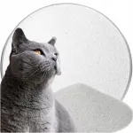 Looduslik kassihiek Sand Cat, 10 kg