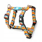 Koera rakmed Max&Molly H-Harness Summertime, reguleeritavad, suurus L