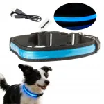 Laetav LED koera kaelarihm, suurus L, 44&ndash;54 cm