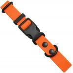 Veekindel oranž koera kaelarihm, 20&ndash;35 cm, 2 cm, XS