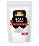 Aminohapped BCAA 2:1:1 800g Stock Fit XL toidulisand