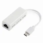 USB-C kuni RJ45 Ethernet adapter, 100 Mbps, s&uuml;learvutile