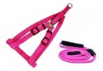 Valjade ja rihma komplekt BUBU Classic Rainbow, roosa, suurus S, valjad 15 mm/35-45 cm, rihm 8 mm/130 cm