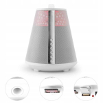 Juhtmevaba Bluetooth k&otilde;lar LED-valgustuse, FM raadio ja laetava akuga, 6,5'', 100 W