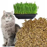 GRASS kassidele m&otilde;eldud hambasuupisted rohuga ja seemnetega, 200 g