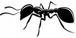 Auto kleebis &bdquo;Ant&ldquo;, taustata, 8 x 17,1 cm