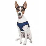 Jahutav vest koertele Aqua Coolkeeper Vest M, sinine