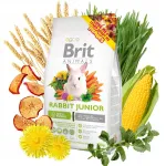 Brit Animals Rabbit Junior k&uuml;&uuml;likute toit, 300 g
