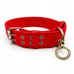 POLICEDOG lai nailonist punane 5 cm koera kaelarihm