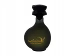 Meeste tualettvesi Salvador Dali Pour Homme 100 ml