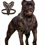 Nahast suured koera rakmed, sobivad dobermannidele, kane corsole, pitbullidele