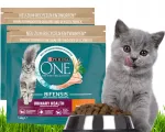 Kuivtoit kassidele Purina ONE Urinary Health kanaga, 2 x 1,4 kg