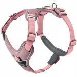 Koera valjad Hunter Divo Up, roosad, XS