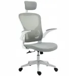 Ergonoomiline kontoritool Vinsetto kiikemehhanismiga