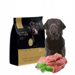 Kuiv koeratoit vasikaliha ja keskmistele ning suurtele t&otilde;ugudele, 2 kg, 1DOG