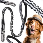 DOGNESS ROAMER elastne koera rihm kuni 36 kg, kuni 75 cm pikk (M/L)