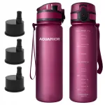 Gertuv filtiga Aquaphor City 500 ml, 3 filtrit