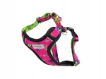 Koera rakmed amiplay Discovery Amik S PizzaDog