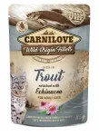 Carnilove kassitoit forelli ja m&auml;nnik&ouml;&ouml;mnega, 85 g