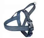 Koerte rakmed NOBBY Classic Preno Royal PREMIUM, mustad, M/L