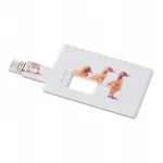 USB m&auml;lupulk 16GB, krediitkaardi kujuline