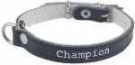 Nahast koera kaelarihm Champion, suurused XXS/XS