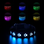 LED-valgustusega reguleeritav koera ja kassi kaelarihm, USB-laadimine