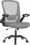 Ergonoomiline kontoritool SONGMICS, hall, reguleeritav, maks. 120 kg