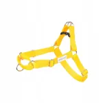 Reguleeritavad koerte rakmed Amiplay Easy Go Samba, kollased, M, 40-60 x 2 cm