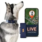 Laetav GPS lemmiklooma j&auml;lgija 4G, veekindel IP67, koos tellimusega