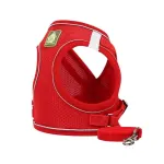 Kasside rakmed SHEIN RED S07__S