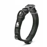 Helkuriga koerakaelarihm Truelove Lumen, must, suurus S