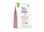 BRIT CARE koeratoit putukate ja kalaga, 3 kg