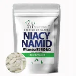 Vitamiin B3 niatsiinamiid 500 mg, 100 kapslit