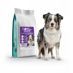 GASTROINTESTINAL kuivtoit koertele seedimisprobleemide jaoks, 1,5 kg