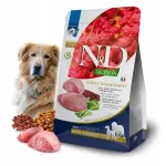 ND Quinoa WEIGHT MANAGEMENT lambalihaga koeratoit 7 kg keskmistele ja suurtele koertele