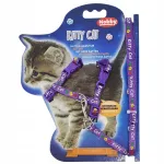 Kassipoja valjad koos jalutusrihmaga Nobby "Kitty Cat", violetsed