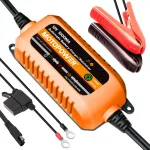 Automaatne 12V 1A AGM/GEL aku laadija desulfitseerimise funktsiooniga