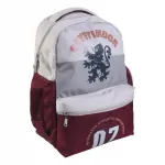Laste koolikott Harry Potter Gryffindor