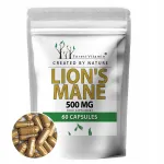 Lion's Mane toidulisand 500 mg, 60 kapslit