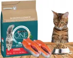 PURINA ONE Sterilcat steriliseeritud kassidele kuivtoit l&otilde;hega, 750 g