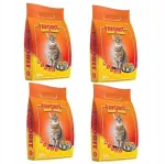 Kuiv kassitoit Favorit kanaga, 6 kg (4 x 1,5 kg)