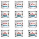 Koeratoit Royal Canin Hypoallergenic 200 g